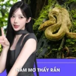 Nằm Mơ Thấy Rắn Là Điềm Gì? Đánh Con Gì Tại LUCK8 Để Trúng?